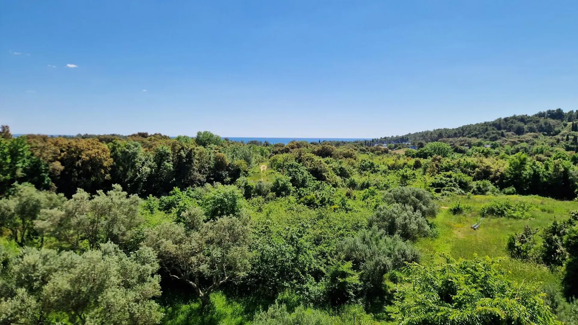 Villa Mareonda Rovinj Croatia